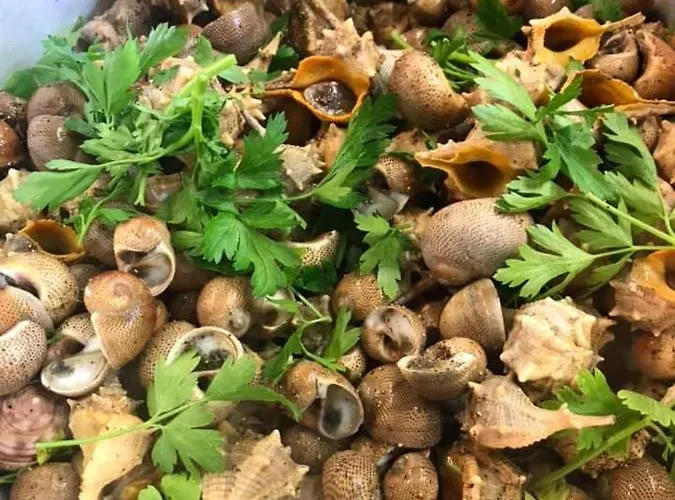 Ξενοδοχείο Alex